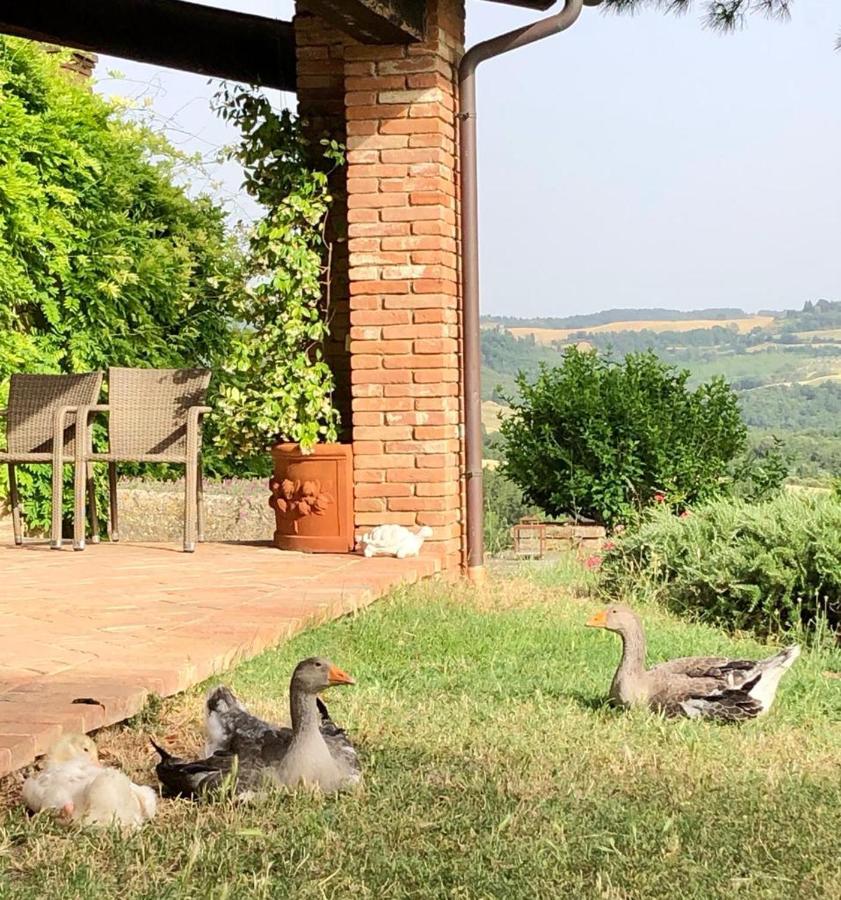 Agriturismo Sole Villa Trequanda Exterior foto