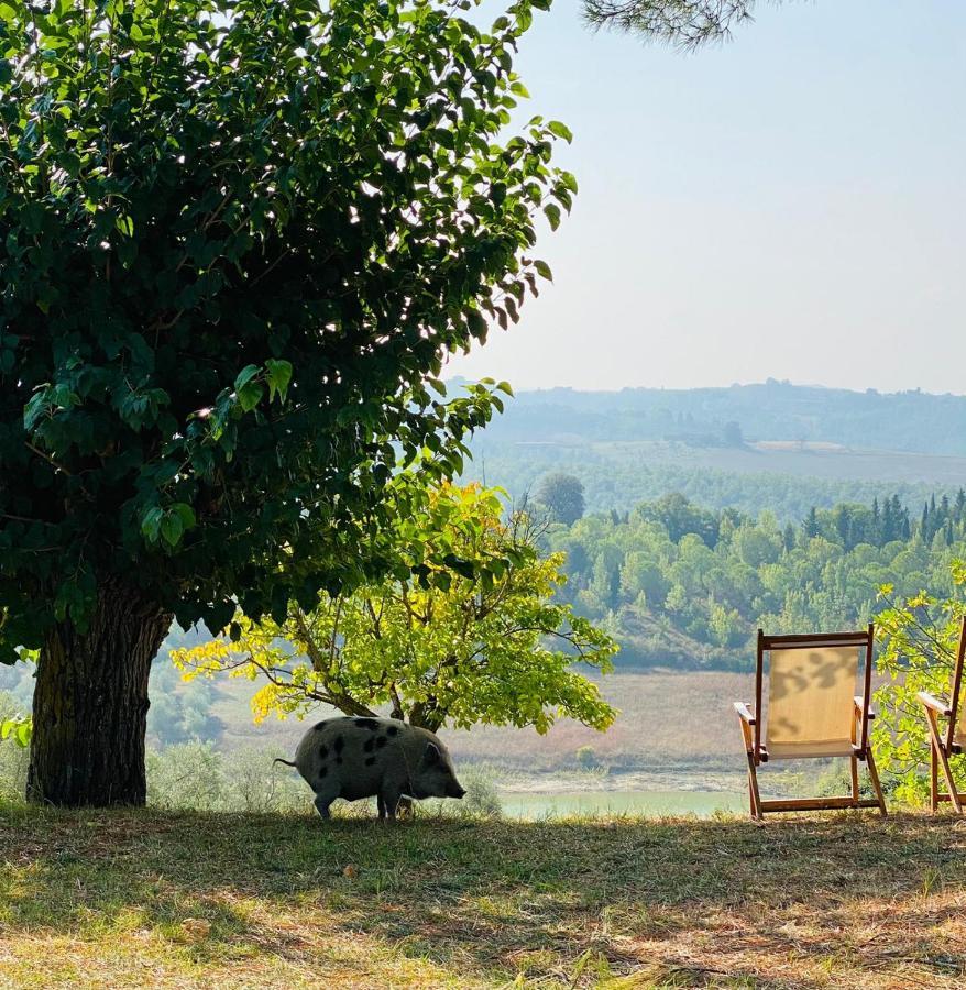 Agriturismo Sole Villa Trequanda Exterior foto